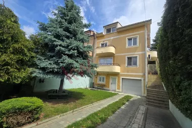 Prote Đurića