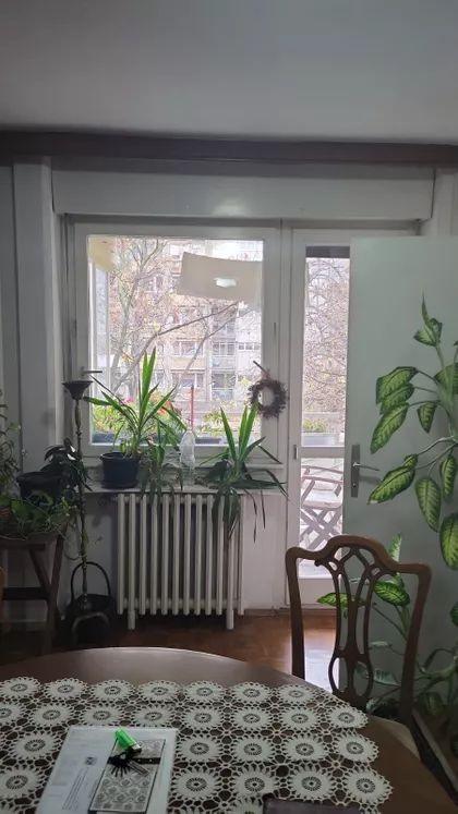 Braće Jovandić | 4zida.rs