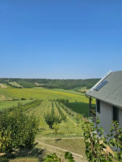 Kralja Petra I | 4zida.rs