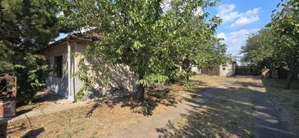 Pačir | 4zida.rs