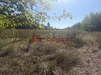 Tavankut | 4zida.rs