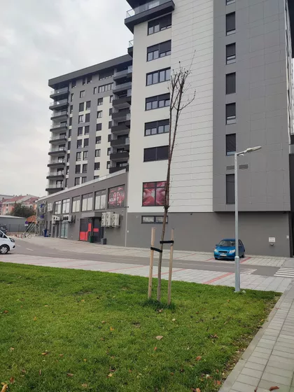 Branka Bajića 11 | 4zida.rs