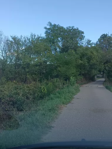 Novo Selo