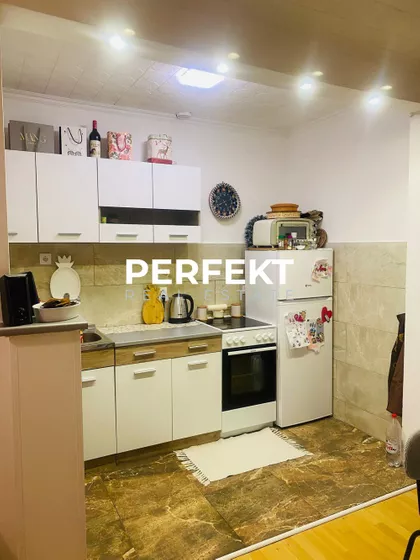 Dušana Petrovića Šaneta | 4zida.rs