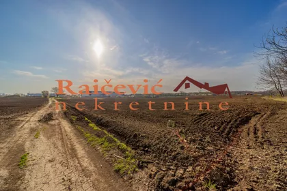 Dobanovacka rampa | 4zida.rs