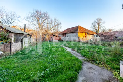 Ratka Pavlovića | 4zida.rs