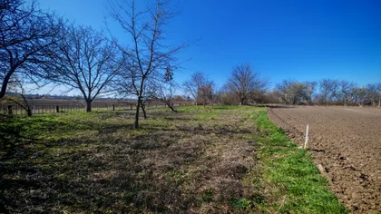 Put Za Crvenku | 4zida.rs