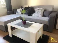 Novi Sad, Gradske lokacije, Stari Grad, Novi Sad - Centar | 4zida.rs | 4zida.rs