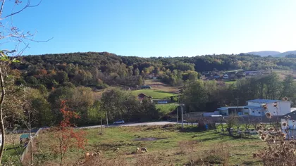 Dimitrija Sredojevića | 4zida.rs