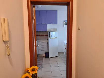 Cara Lazara 28 | 4zida.rs