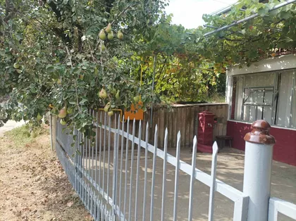 Radnička 6A | 4zida.rs