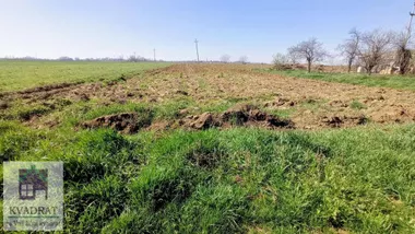 Obrenovac