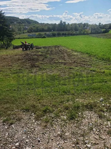 Dragomira Milovanovića Mirka