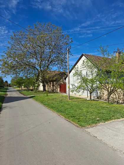 Dunavska 8 | 4zida.rs