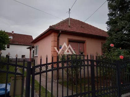 Dalmatinska | 4zida.rs