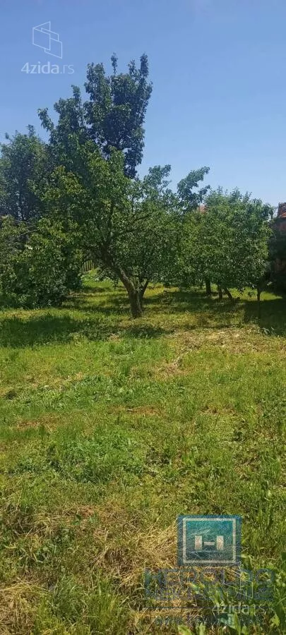 Plac | 4zida
