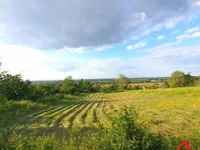 Čerević, Okolne lokacije, Beočin | 4zida.rs