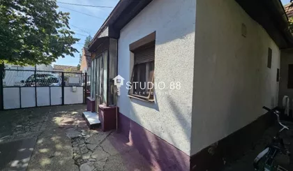 Berbersko | 4zida.rs