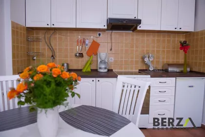 Novi Sad - Centar | 4zida.rs