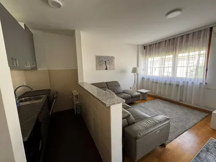 Novi Sad - Centar | 4zida.rs