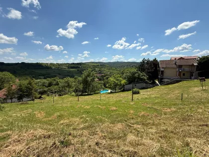 Sremska Kamenica | 4zida.rs