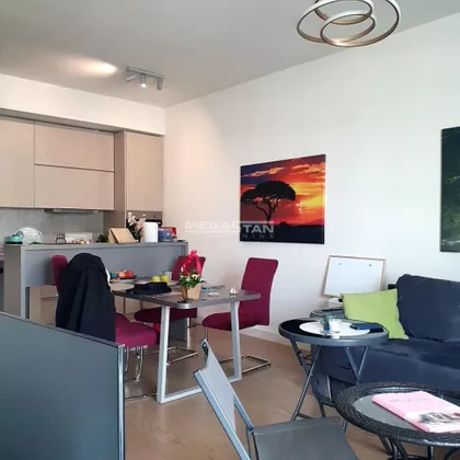 Luke Ćelovića Trebinjca | 4zida.rs