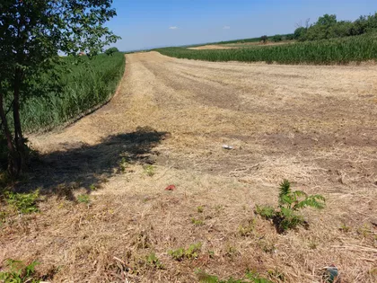 Belegiš | 4zida.rs
