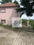 Sremska Kamenica, Gradske lokacije, Novi Sad | 4zida.rs | 4zida.rs