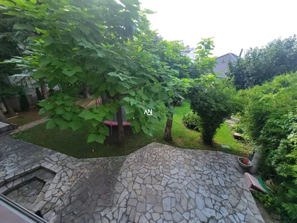 Sanje Živanovića | 4zida.rs