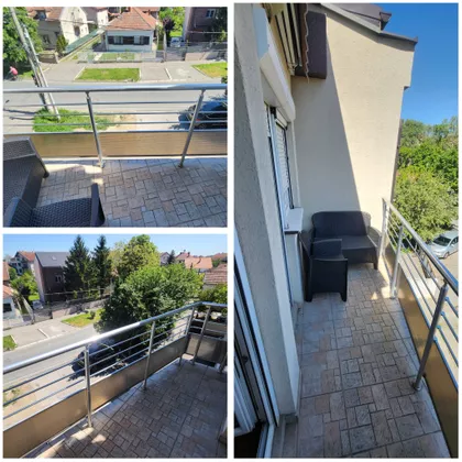 Ranka Miljića | 4zida.rs