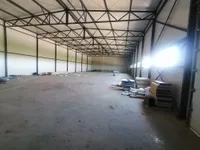 Hala | 4zida