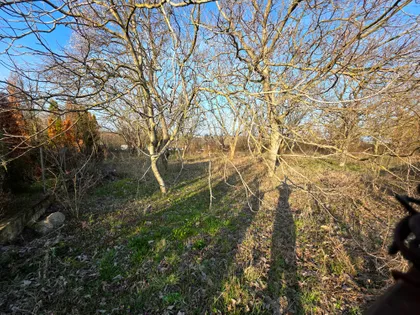 Crnovrška 68 | 4zida.rs