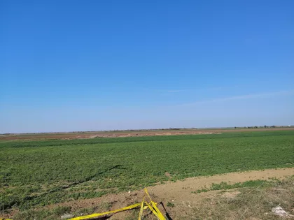 Krnješevci | 4zida.rs