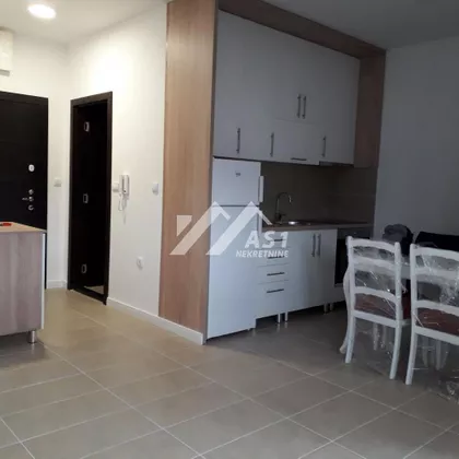 Dalmatinska | 4zida.rs