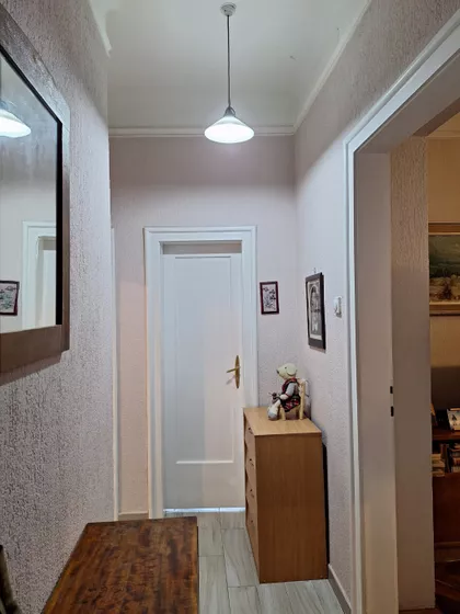 Žarka Vasiljevića | 4zida.rs