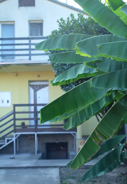 Novi Banovci | 4zida.rs