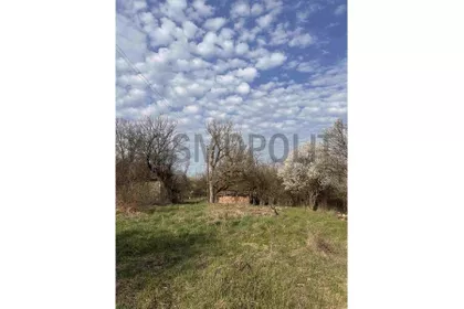 Dole Mihajlović | 4zida.rs