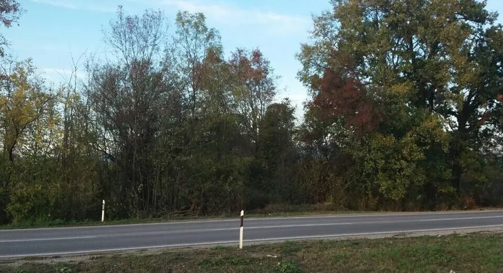 Poljoprivredno zemljište | 4zida