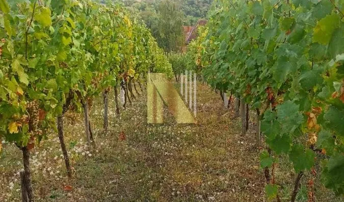 Poljoprivredno zemljište | 4zida