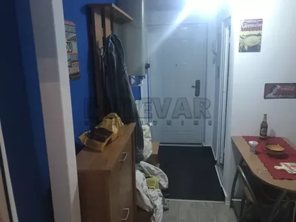 Darinke Pavlović | 4zida.rs