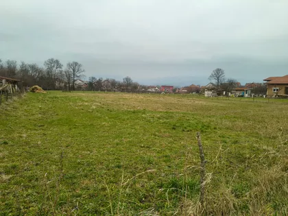 Čibukovac | 4zida.rs