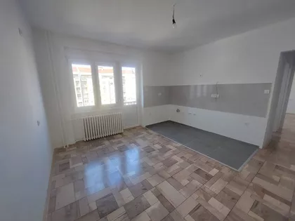 Miše Dimitrijevića | 4zida.rs