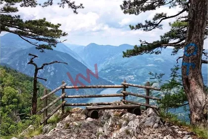 Planina Tara | 4zida.rs