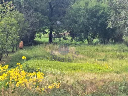 Alibegovac | 4zida.rs