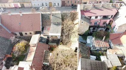 Žarka Zrenjanina 29 | 4zida.rs