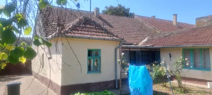 Miloša Ostojina | 4zida.rs