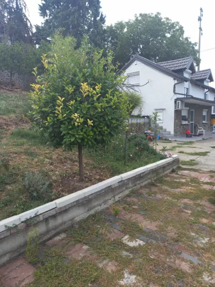 Sremska Kamenica | 4zida.rs