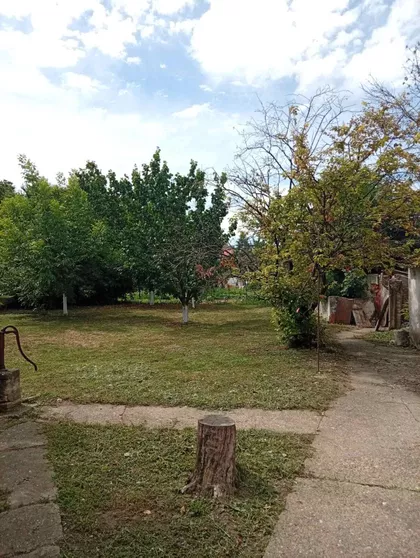 Žarka Zrenjanina 40 | 4zida.rs