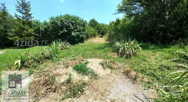 Plac | 4zida