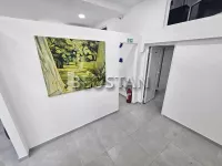 Lokal | 4zida